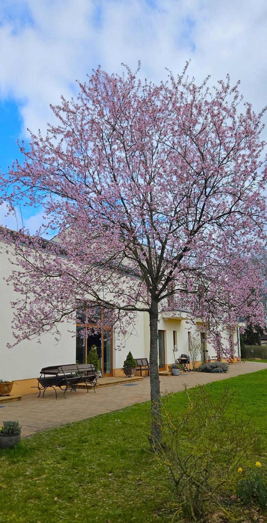 Cellino Hotel Prieros Exteriör bild